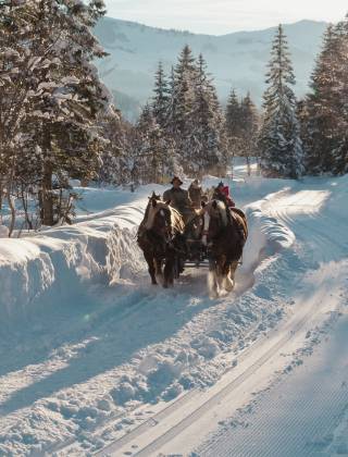 Horse-drawn sleigh rides in a dreamy winter landscape in Salzburger Land with snow-covered mountains and trees