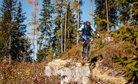 Mountainbiker fährt Waldpfad im Pinzgau entlang